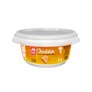 PAISA CHEDDAR (250 Gr)